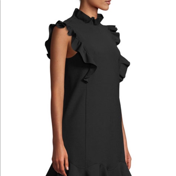 Flounce-Hem Ruffle Sheath Dress. Size 0. NWOT. - Picture 3 of 8